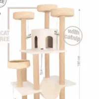 فروش درخت گربه‌