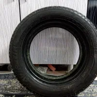 لاستیک|قطعات یدکی و لوازم جانبی|هشتگرد, شهرک دریا|دیوار