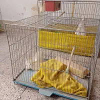 قفس پرنده