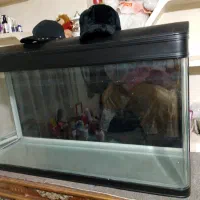 یک عدد آکواریوم شیشه خم سالم با تمام وسایل