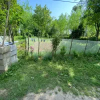 زمین مسکونی همراه ویلا|فروش زمین و ملک کلنگی|ضیابر, |دیوار