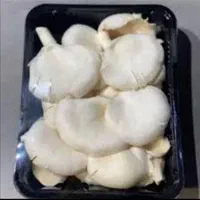 تولید،پرورش قارچ ارگانیک شغل،درآمدزایی کار در منزل|گل و گیاه طبیعی|کرج, اصفهانی‌ها|دیوار