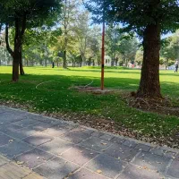 فروش-زمین-طرح-جدید-تفکیکی