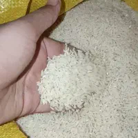 برنج طارم دمسیاه