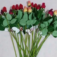 ۲۰ شاخه گل رز لمسی