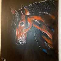 تابلو نقاشی دیواری60×70|تابلو، نقاشی، عکس|پردیس, فاز ۳|دیوار