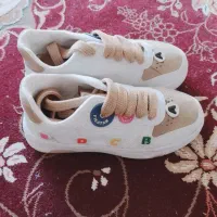 کفش زنانه|کیف، کفش، کمربند|زابل, |دیوار