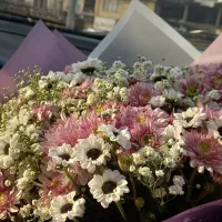 طوطی عروس پیدا شده