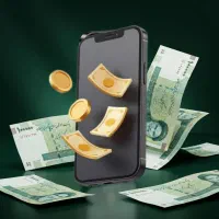 پول حلال میخوای بیا ببر