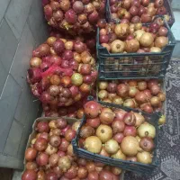 انار مخلوط کلیوی۲۰تومان|حراج|یزد, |دیوار