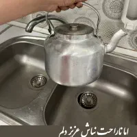 محصولات نانوسان|لوازم نظافت|کرمان, |دیوار