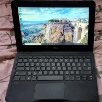 مینی لپ تاپ دل،معاوضه با طوطی راهب