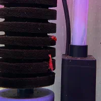 شریمپ بلادمری،گوپی،فایتر