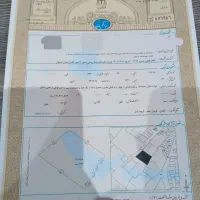 زمین-سندتک-برگ