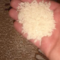 برنج هاشمی درجه یک سورتینگ شده