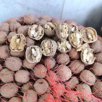 گردو درجه یک تو سفید