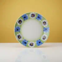 بشقاب سرامیکی روسی