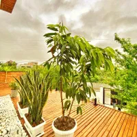 باغدوبلکس۲۰۰متری/آپادانا/پروانهوپایانکار|فروش خانه و ویلا|نور, |دیوار