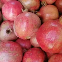 رب انار محلی|خوردنی و آشامیدنی|رباط‌کریم, الارد|دیوار