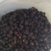 کشمش پلویی برگه زردالو کیلاس خشک الوچه|خوردنی و آشامیدنی|مشهد, توس (بلوار توس)|دیوار