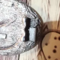 سگک عقابی|کیف، کفش، کمربند|شهرکرد, |دیوار