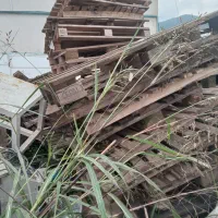 پالت نرادتمیز|خدمات پیشه و مهارت|لاهیجان, لیالستان|دیوار