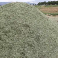 یونجه درجه یک تمیز|خدمات باغبانی و درختکاری|لردگان, |دیوار