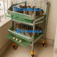 در*آپارتمان یا% بلدرچین مینی و قفس مرغ