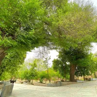 باغ ویلای ۱ هکتاری آرامش امنیت شادی|اجارهٔ کوتاه‌مدت ویلا و باغ|شیراز, وزیرآباد|دیوار