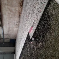 خدمات ساختمان|خدمات پیشه و مهارت|قائم‌شهر, |دیوار