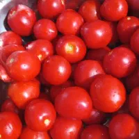 رب خونگی|خوردنی و آشامیدنی|تهران, چیذر|دیوار