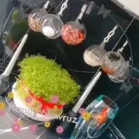 هفت سین شیک و خوشگل