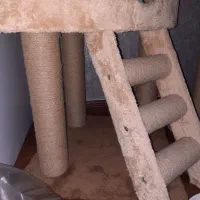 خانه درختی گربه ( کت تیری )