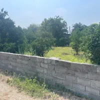 ۲۵۰ متر زمین بافت مسکونی قابل ساخت ویلا/شمال|فروش زمین و ملک کلنگی|تهران, اکباتان|دیوار