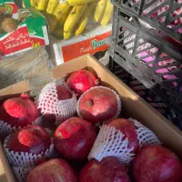 نیازمند نیروی خدماتی