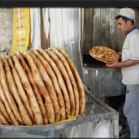 شاطر  برای شیفت صبح ۱۶ ماهی