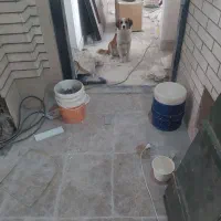 واگذاری سگ پا کوتاه