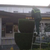 کلیه خدمات باغبانی پذیرفته میشود