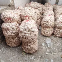 پیاز سفید محلی درجه 1