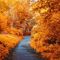 مقداری طلا پیدا شده