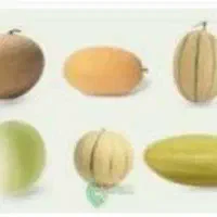 محمودابادسفلی
