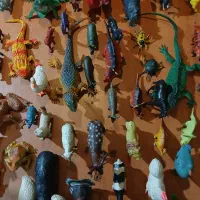 حیوانات اسباب بازی|اسباب‌‌بازی|ری, فیروزآبادی|دیوار