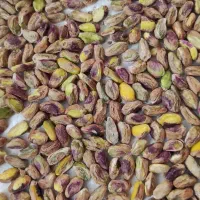 خرید و فروش مغز پسته|عمده‌فروشی|قم, آزادگان|دیوار