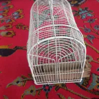 قفس سهره|لوازم جانبی حیوانات|اسلامآباد غرب, |دیوار