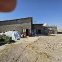 زمین کشاورزی حاصلخیز بهمراه دامداری ۳۰۰ راسی|فروش دفتر صنعتی، کشاورزی، تجاری|سمنان, |دیوار