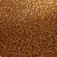 پخش حبوبات احمدی|خوردنی و آشامیدنی|رشت, شهرک قدس|دیوار