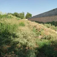 زمین-کشاورزی-واقع-در-جاده-آبباریک-دمز-اباد