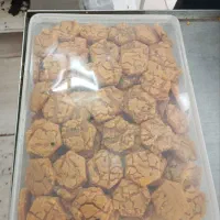 ابنباتی ترد