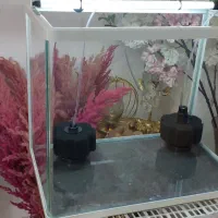 آکواریوم نو