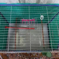 قفس پرنده|لوازم جانبی حیوانات|اهواز, مجاهد|دیوار